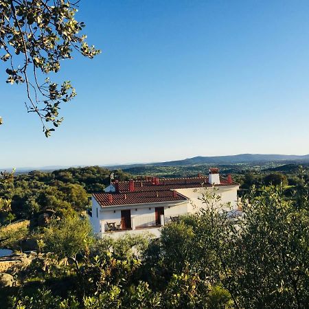 Flores Amarillas B&B Almoharin Dış mekan fotoğraf